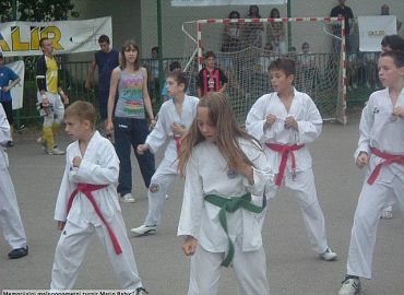 taekwondo-demonstracija